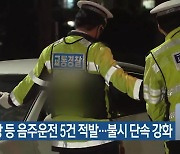 해수욕장 등 음주운전 5건 적발…불시 단속 강화