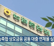 “농축협 상호금융 공동 대출 연체율 심각”