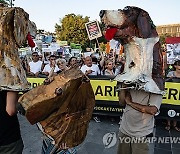 TURKEY PROTEST ANIMALS