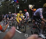 APTOPIX Cycling Tour de France