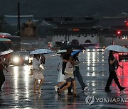 서울 비바람에 나무 쓰러지고 외장재 떨어져…인명피해는 없어