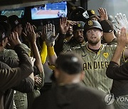 Padres Guardians Baseball