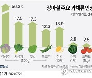 [그래픽] 장마철 주요 과채류 인상률