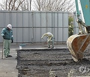 Japan WWII Bones