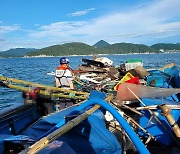 충돌 어선