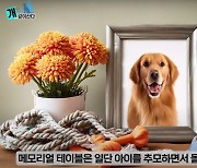 펫로스로 슬픔 겪는다면… "메모리얼 테이블 만들어 추억하세요"