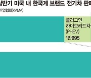 캐즘에도 잘 달린 韓 전기차… 美 판매 1년사이 61% 늘었다