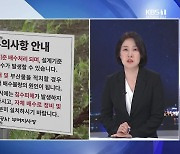 [집중취재] 시설 하우스 3년 연속 수해…대체 왜?