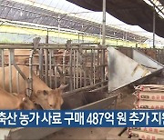 축산 농가 사료 구매 487억 원 추가 지원