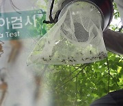 서울서 2번째 ‘말라리아’ 경보…도심 확산 비상