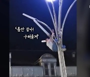 [오늘의 영상] 달밤에 가로등 타는 남성의 대반전