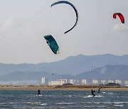 [국제칼럼] 다대포 ‘축제의 바다(부산바다축제)’를 기대하며