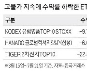 고물가에 지갑 닫았나 … 명품株 ETF '부진'