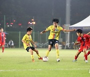 경주서 전국 최대 유소년 축구 화랑대기 "내달 5일 팡파르"