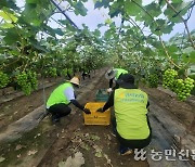 경북·경남농협 폭우 피해 폭구 한마음