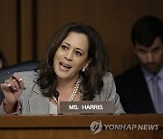 Election 2024 Harris