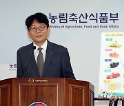 햇과일 출하 동향 및 여름철 채소 수급 동향은