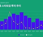 국내 플랫폼 스타트업 투자 급감…2년새 4분의 1로 '뚝'