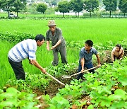 北 만경대 칠곡 채소농장 "재해성 기상 현상에 철저히 대처"