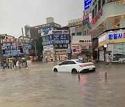 물폭탄에 차량 3525대 침수…손해액 319억