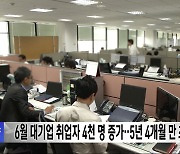 6월 대기업 취업자 4천 명 증가‥5년 4개월 만 최소