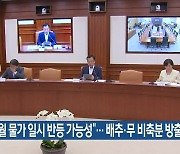 “7월 물가 일시 반등 가능성”… 배추·무 비축분 방출