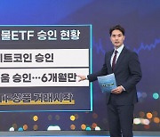 美 이더리움 ETF 승인…관련주 뭐가 있지? [인사이트 브리핑]