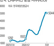 중국, 역대 최대 ‘재고 밀어내기’에…해외 선사들 ‘한국 패싱’