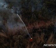 브라질 산불 진압하는 소방관들