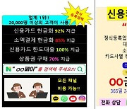 인터넷 상거래로 위장한 '카드깡' 성행…금감원 "주의해야"