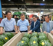 양구 수박, 올여름 도매시장 첫 출하