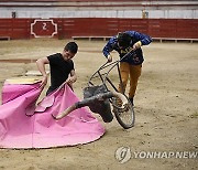 Colombia Bullfighting