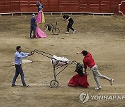 Colombia Bullfighting