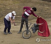 Colombia Bullfighting