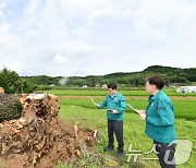 '폭우 피해 입은 천연기념물 상태는?'