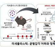 국내 연구진, 미세플라스틱이 ‘귀 건강 손상’ 첫 규명