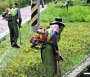 의왕시 왕송호수 주변 제초작업 분주 [포토뉴스]