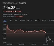 테슬라 기대 못미친 분기실적에 시간외 4% 급락