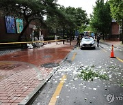 국립정동극장 인근에 떨어진 대남 쓰레기 풍선 내용물