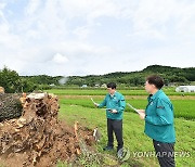 '포천 초과리 오리나무' 피해현황 듣는 최응천 국가유산청장