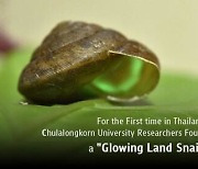 [PRNewswire] Chulalongkorn University Researchers Found a "Glowing Land Snail"