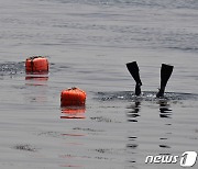 포항서 물질하러 가던 80대 해녀 심정지…의식 없어