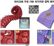 '문어 다리처럼' 손상 돼도 자가치유하는 전자패치 개발