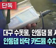 [단독] 안동댐 '퇴적 중금속' 심각···"대구 취수원으로 부적합" 논란