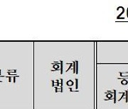 회계법인당 9건씩 감리 지적···중견·중소형이 평균 상회