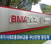 금감원, 주가 시세조종 BNK금융·부산은행 ‘중징계’