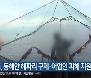 강원도, 동해안 해파리 구제·어업인 피해 지원