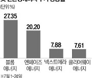 美 AI 열풍 꺾였는데…친환경에너지株 왜 뛸까