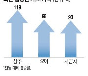 채소값 '껑충'… 장마가 밥상물가 흔든다