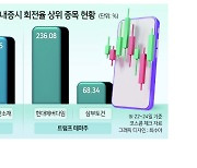 美대선 테마주에 ‘단타’ 극성...“변동성 확대, 옥석가려야”